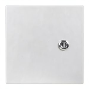Wiegmann N1C080804 N1C-Series NEMA 1 Small Hinged Cover Wallmount Cabinet, Steel, 8" x 8" x 4"-0