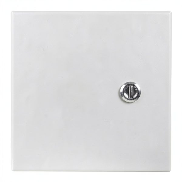 Wiegmann N1C080804 N1C-Series NEMA 1 Small Hinged Cover Wallmount Cabinet, Steel, 8" x 8" x 4"-0