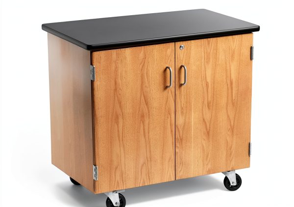 National Public Seating Lab Cabinet with Swivel Casters Black 24x36x36-4