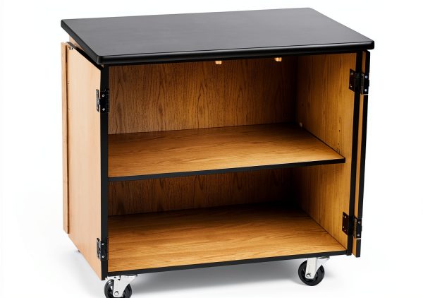 National Public Seating Lab Cabinet with Swivel Casters Black 24x36x36-3