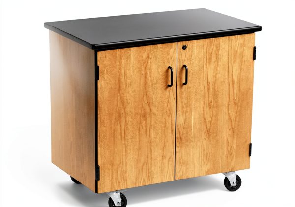 National Public Seating Lab Cabinet with Swivel Casters Black 24x36x36-0