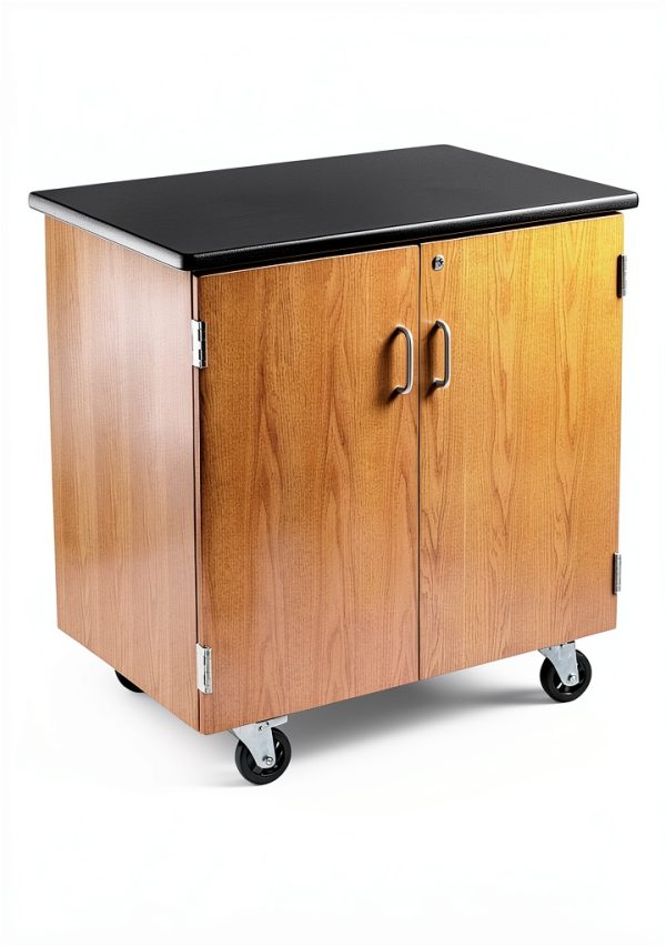 National Public Seating Lab Cabinet with Swivel Casters Black 24x36x36-1