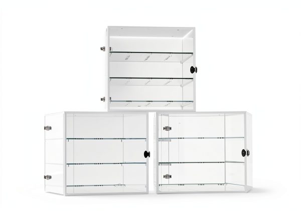 Acrylic Desiccator Cabinet 12x12x12 – Desiccator Cabinets Lab Cabinet-5